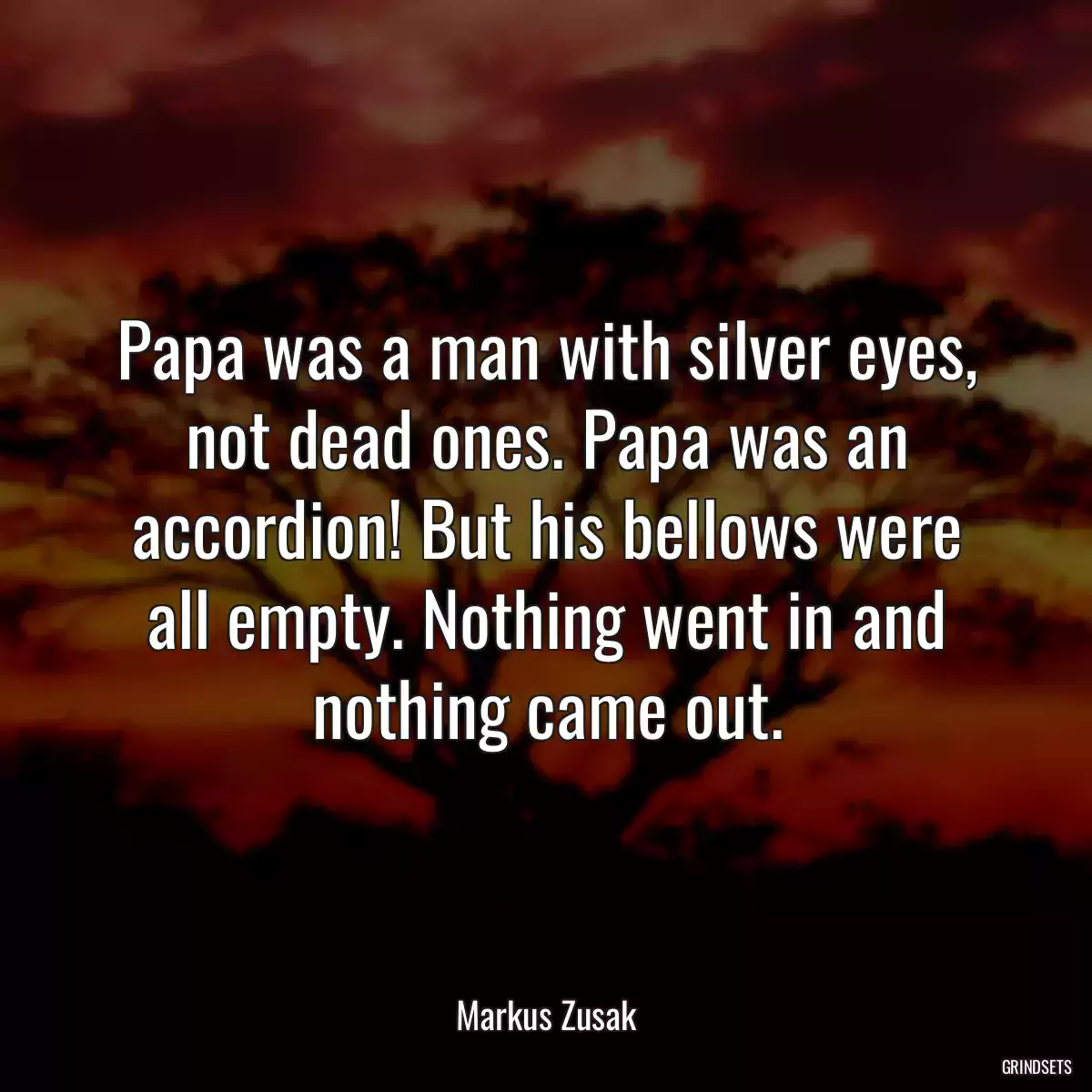 Papa was a man with silver eyes, not dead ones. Papa was an accordion! But his bellows were all empty. Nothing went in and nothing came out.