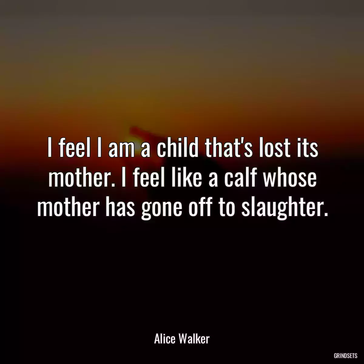 I feel I am a child that\'s lost its mother. I feel like a calf whose mother has gone off to slaughter.