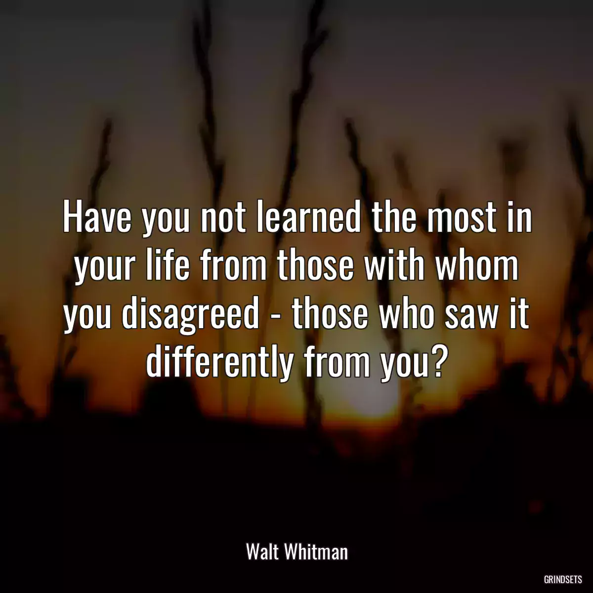 Have you not learned the most in your life from those with whom you disagreed - those who saw it differently from you?