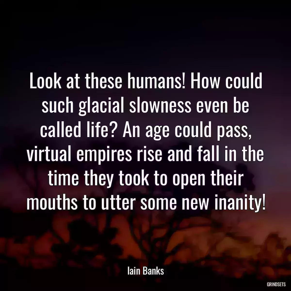 Look at these humans! How could such glacial slowness even be called life? An age could pass, virtual empires rise and fall in the time they took to open their mouths to utter some new inanity!