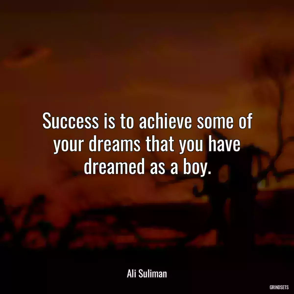 Success is to achieve some of your dreams that you have dreamed as a boy.