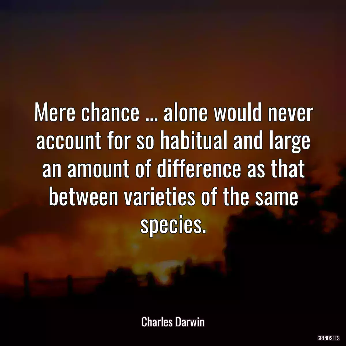 Mere chance ... alone would never account for so habitual and large an amount of difference as that between varieties of the same species.