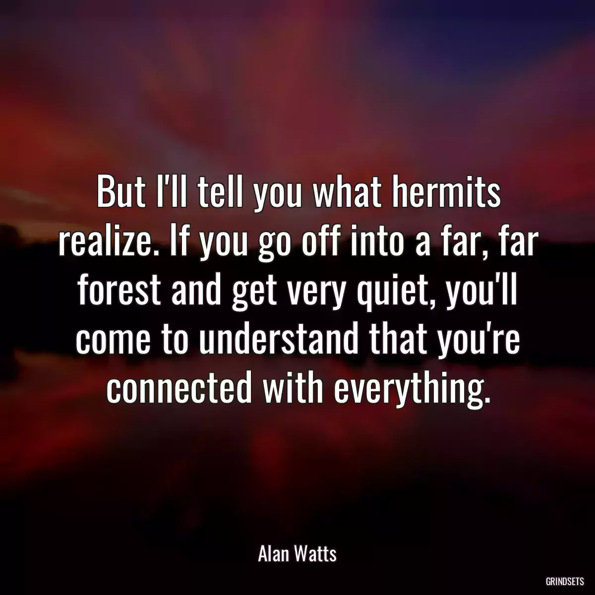 But I\'ll tell you what hermits realize. If you go off into a far, far forest and get very quiet, you\'ll come to understand that you\'re connected with everything.