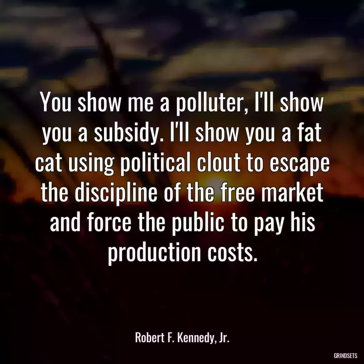 You show me a polluter, I\'ll show you a subsidy. I\'ll show you a fat cat using political clout to escape the discipline of the free market and force the public to pay his production costs.