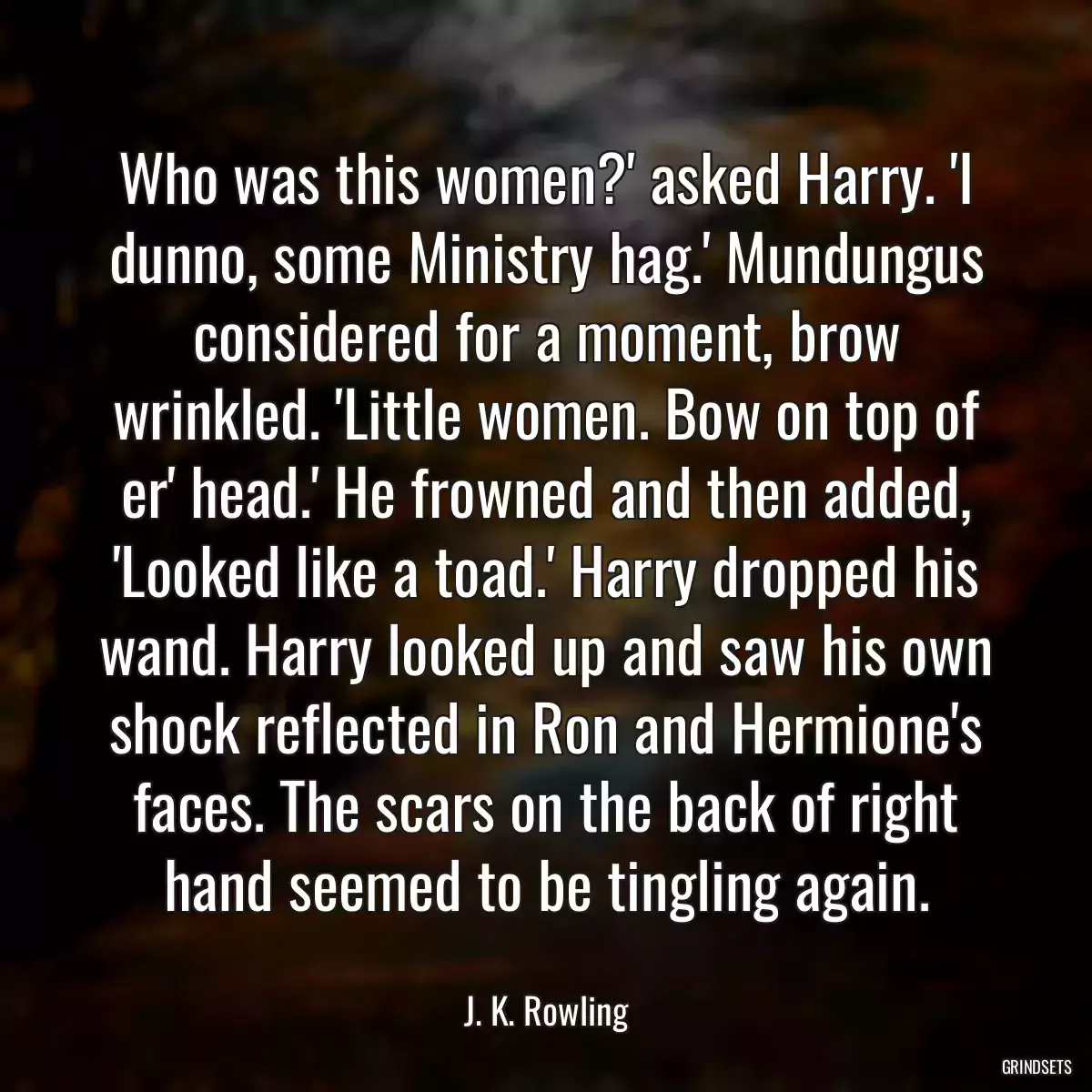 Who was this women?\' asked Harry. \'I dunno, some Ministry hag.\' Mundungus considered for a moment, brow wrinkled. \'Little women. Bow on top of er\' head.\' He frowned and then added, \'Looked like a toad.\' Harry dropped his wand. Harry looked up and saw his own shock reflected in Ron and Hermione\'s faces. The scars on the back of right hand seemed to be tingling again.