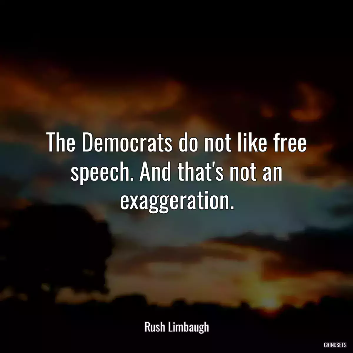 The Democrats do not like free speech. And that\'s not an exaggeration.