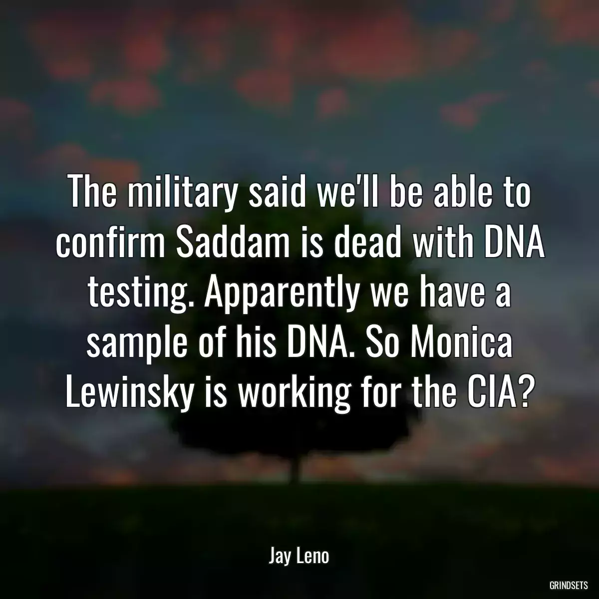 The military said we\'ll be able to confirm Saddam is dead with DNA testing. Apparently we have a sample of his DNA. So Monica Lewinsky is working for the CIA?