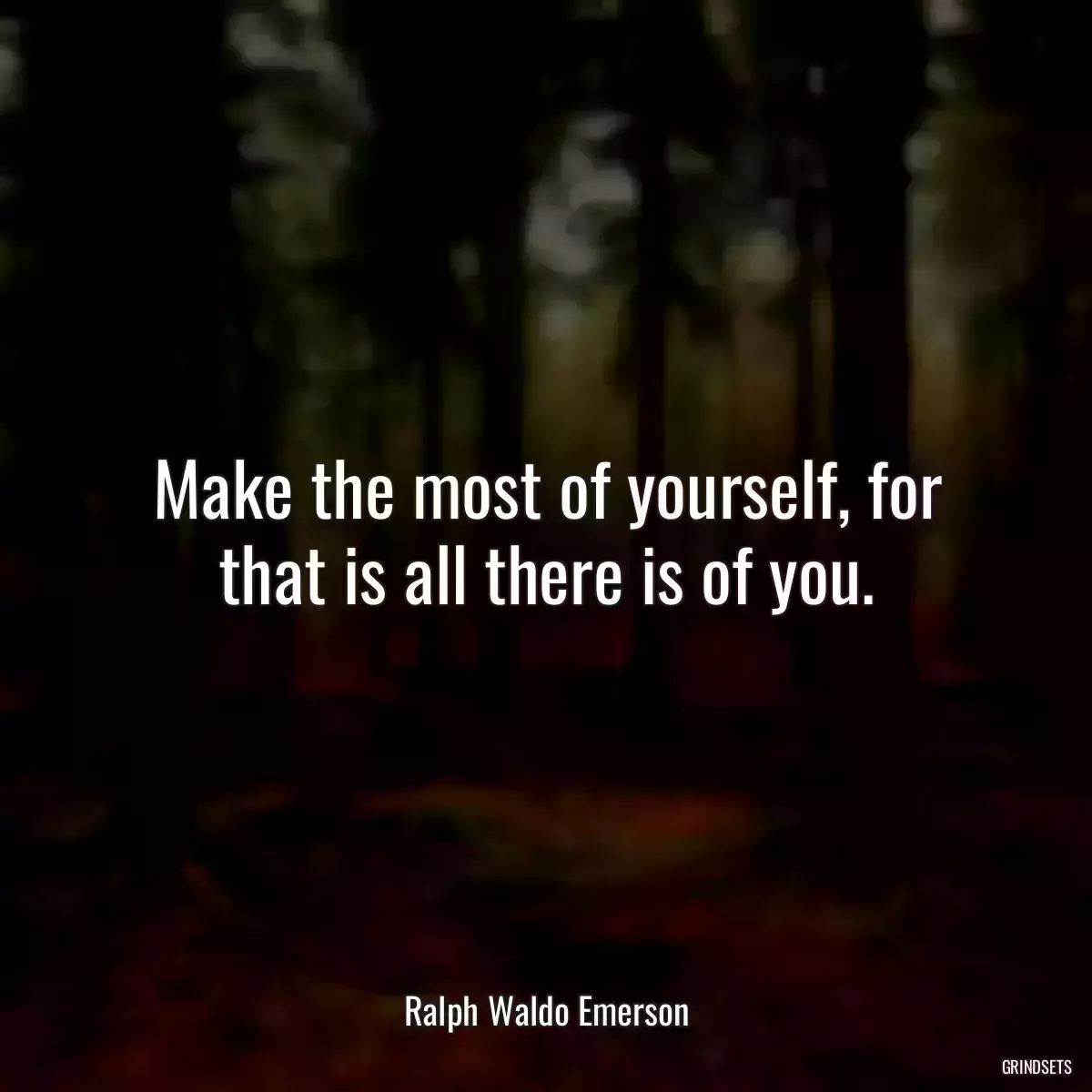 Make the most of yourself, for that is all there is of you.