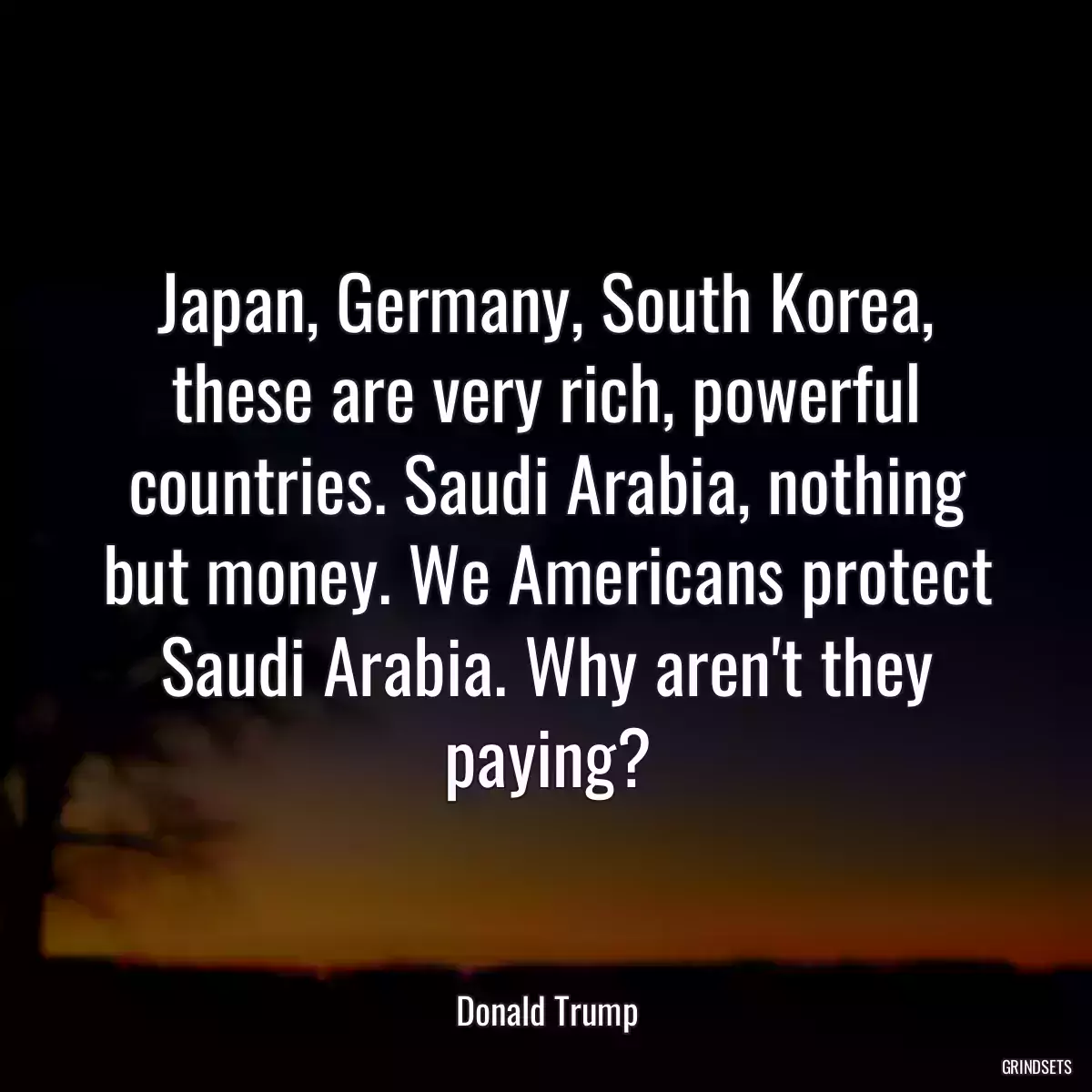 Japan, Germany, South Korea, these are very rich, powerful countries. Saudi Arabia, nothing but money. We Americans protect Saudi Arabia. Why aren\'t they paying?