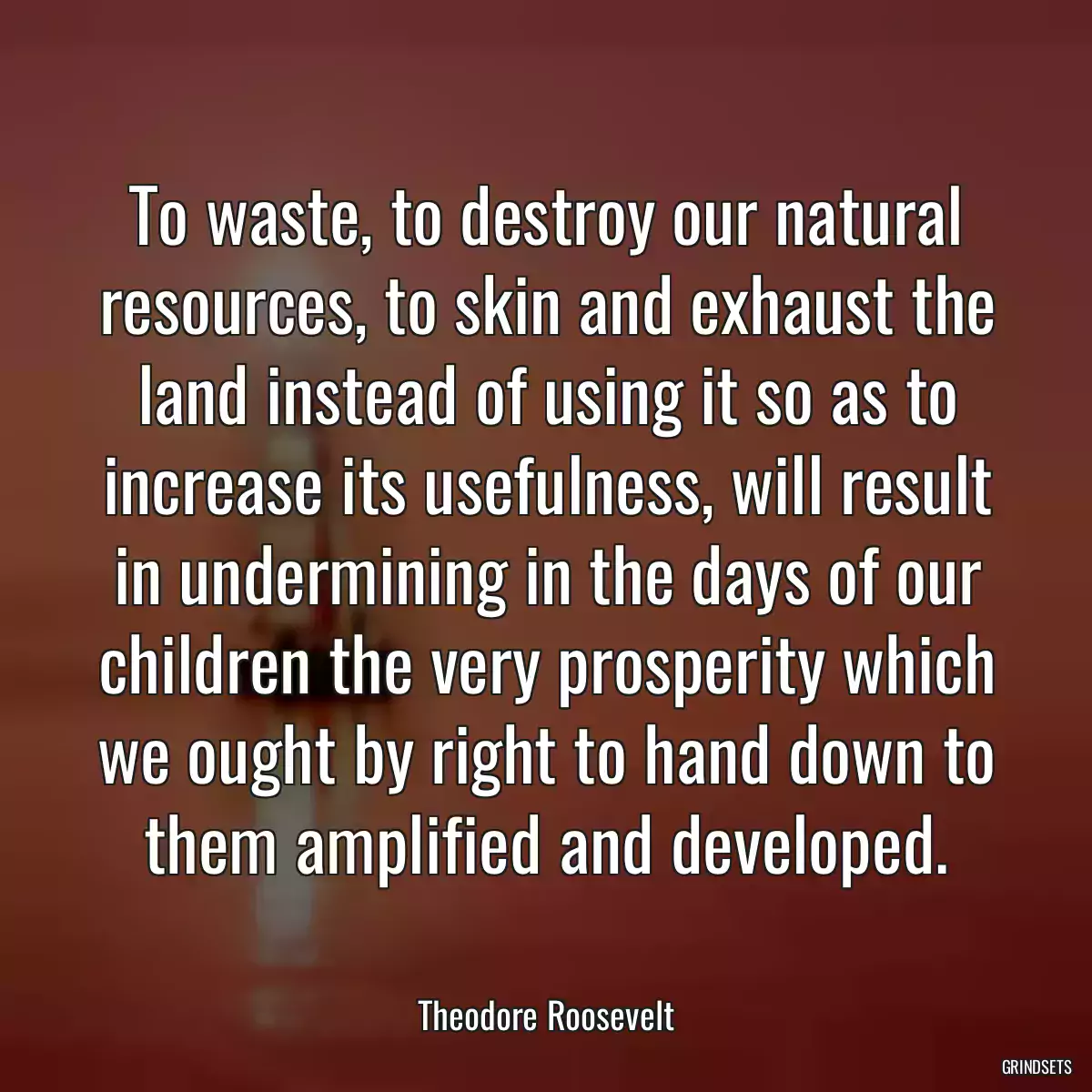 To waste, to destroy our natural resources, to skin and exhaust the land instead of using it so as to increase its usefulness, will result in undermining in the days of our children the very prosperity which we ought by right to hand down to them amplified and developed.