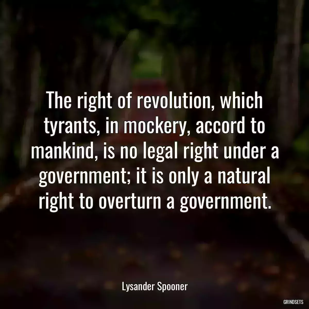 The right of revolution, which tyrants, in mockery, accord to mankind, is no legal right under a government; it is only a natural right to overturn a government.