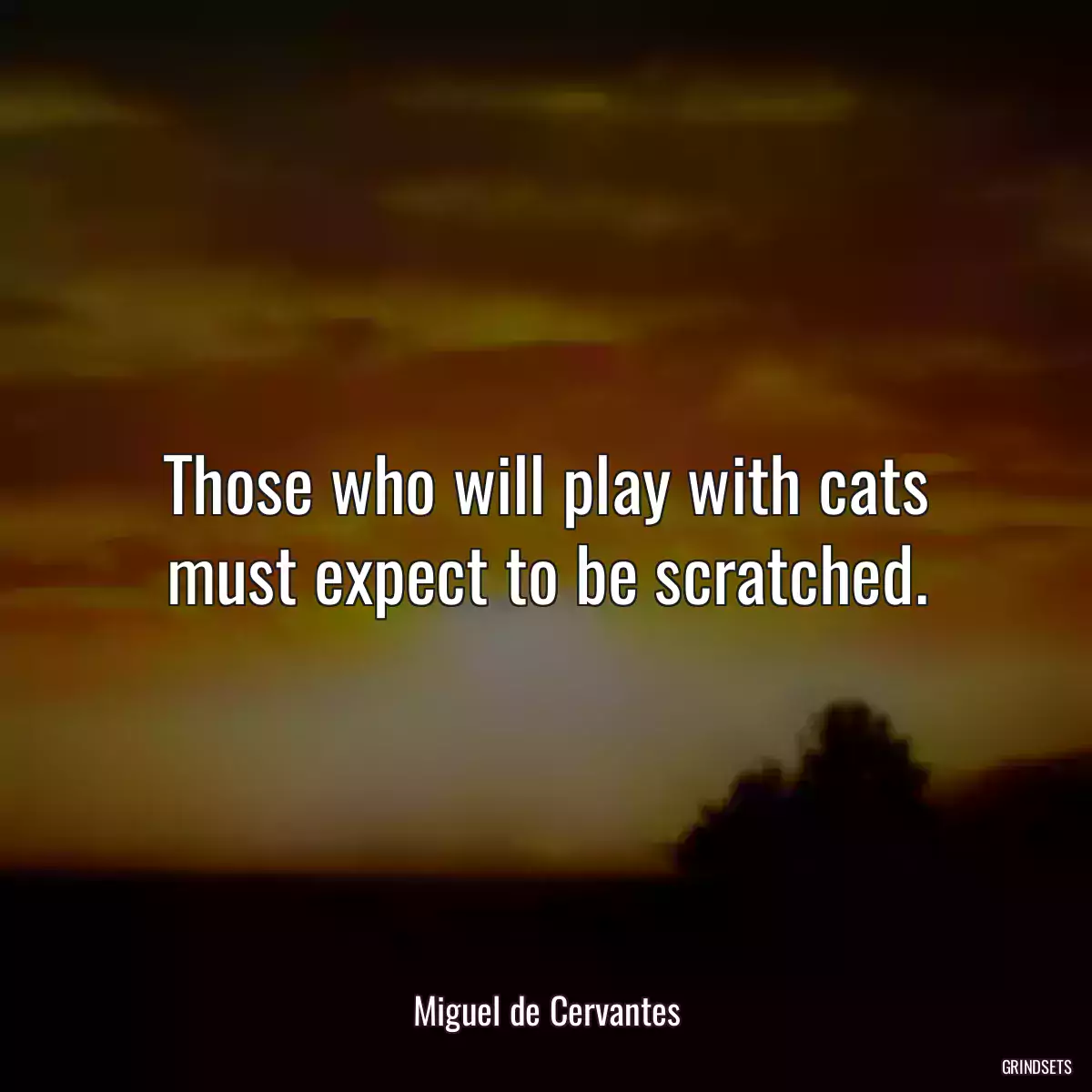 Those who will play with cats must expect to be scratched.