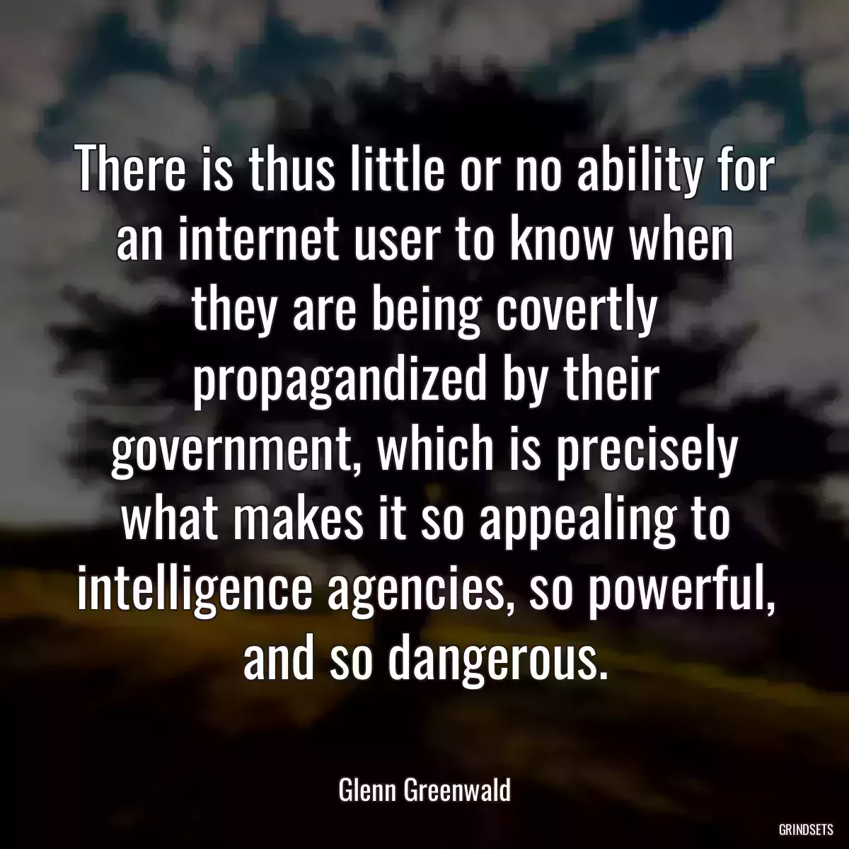 There is thus little or no ability for an internet user to know when they are being covertly propagandized by their government, which is precisely what makes it so appealing to intelligence agencies, so powerful, and so dangerous.