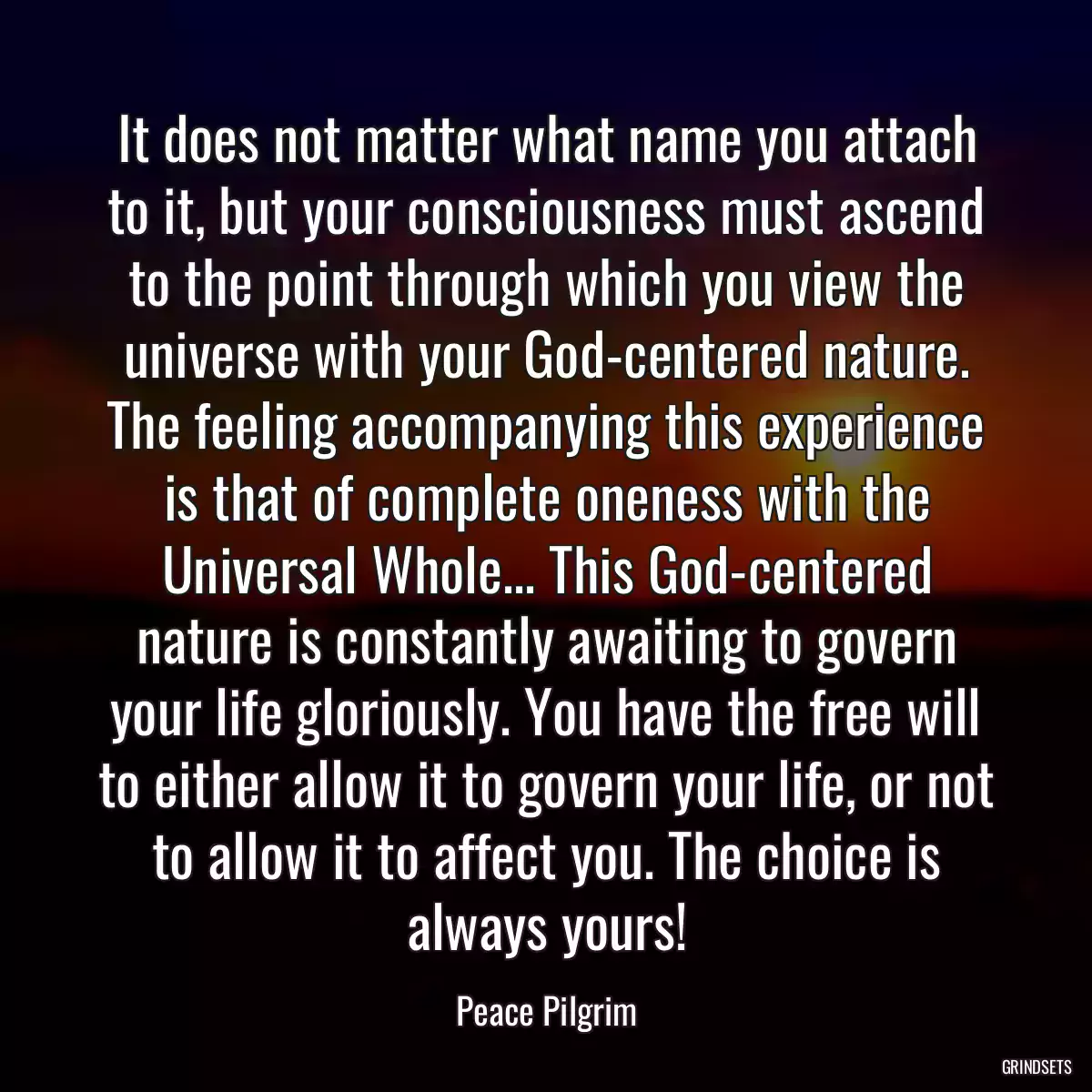 It does not matter what name you attach to it, but your consciousness must ascend to the point through which you view the universe with your God-centered nature. The feeling accompanying this experience is that of complete oneness with the Universal Whole... This God-centered nature is constantly awaiting to govern your life gloriously. You have the free will to either allow it to govern your life, or not to allow it to affect you. The choice is always yours!