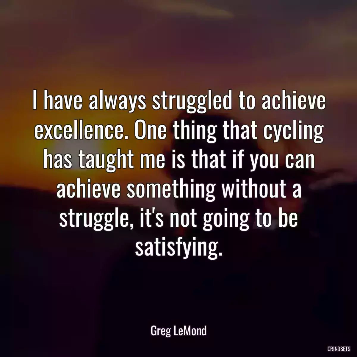 I have always struggled to achieve excellence. One thing that cycling has taught me is that if you can achieve something without a struggle, it\'s not going to be satisfying.