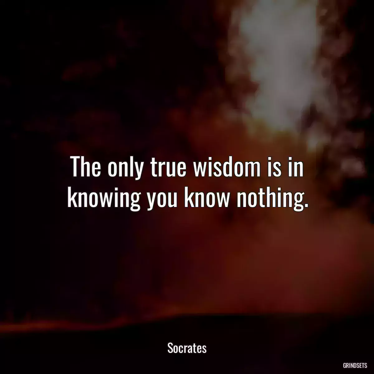 The only true wisdom is in knowing you know nothing.