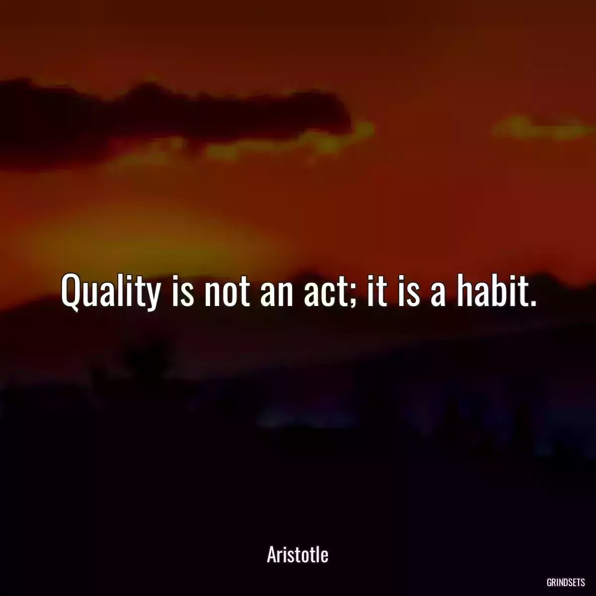 Quality is not an act; it is a habit.