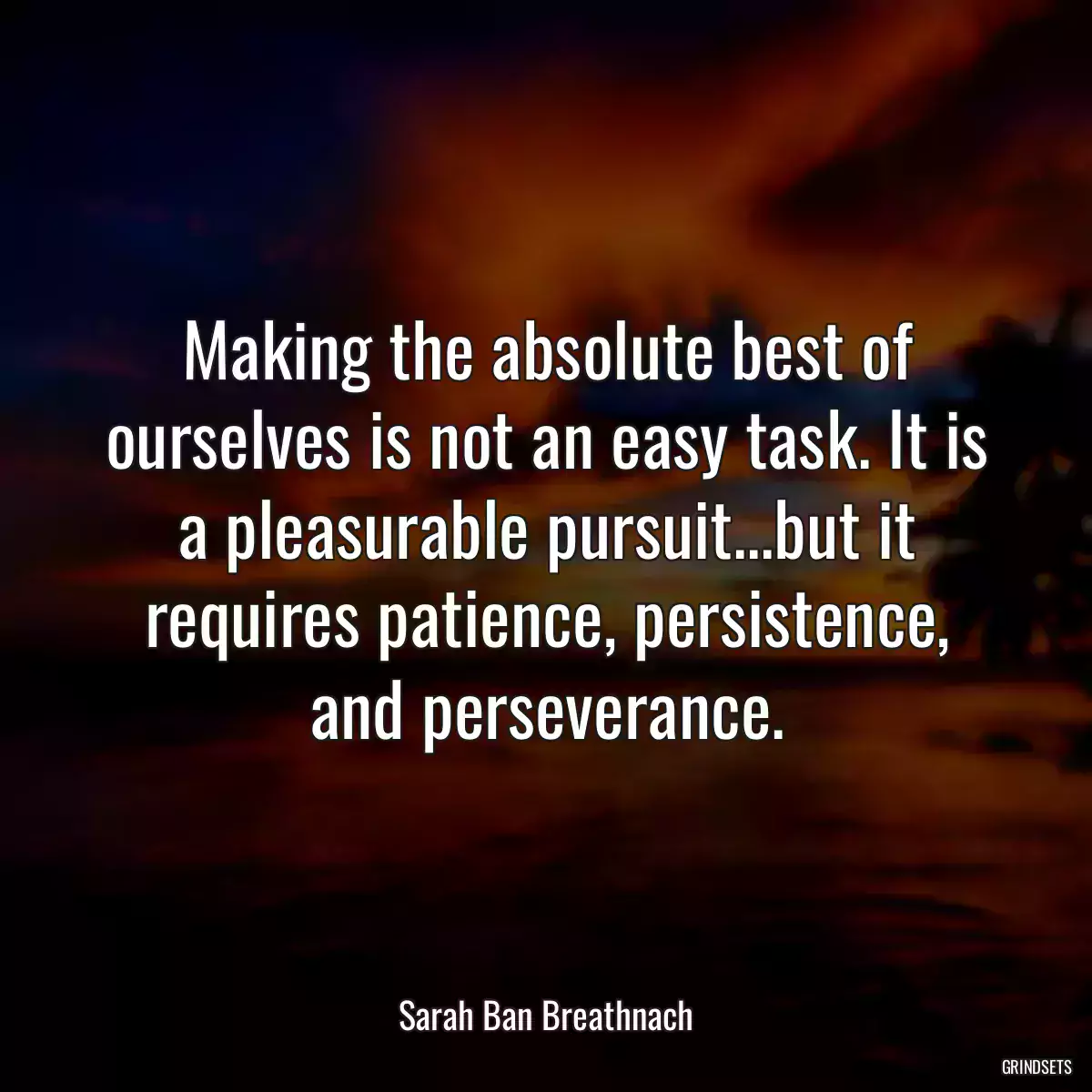 Making the absolute best of ourselves is not an easy task. It is a pleasurable pursuit...but it requires patience, persistence, and perseverance.