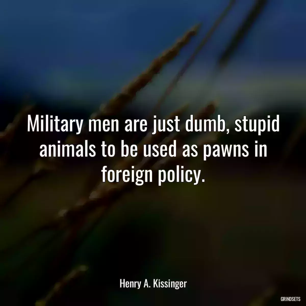 Military men are just dumb, stupid animals to be used as pawns in foreign policy.