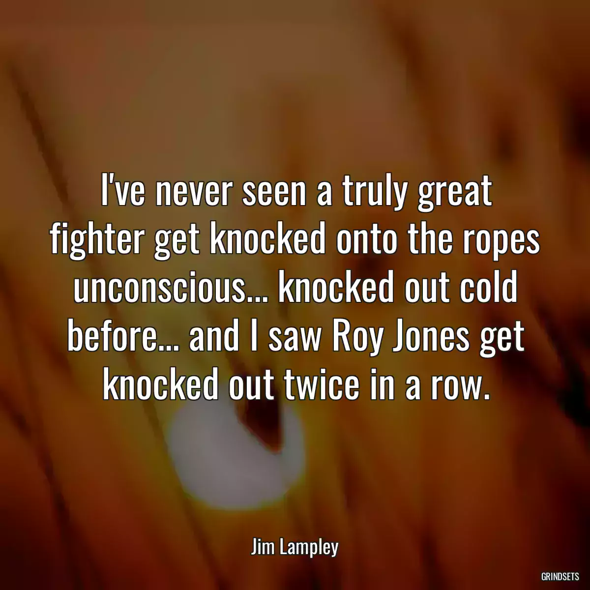 I\'ve never seen a truly great fighter get knocked onto the ropes unconscious... knocked out cold before... and I saw Roy Jones get knocked out twice in a row.