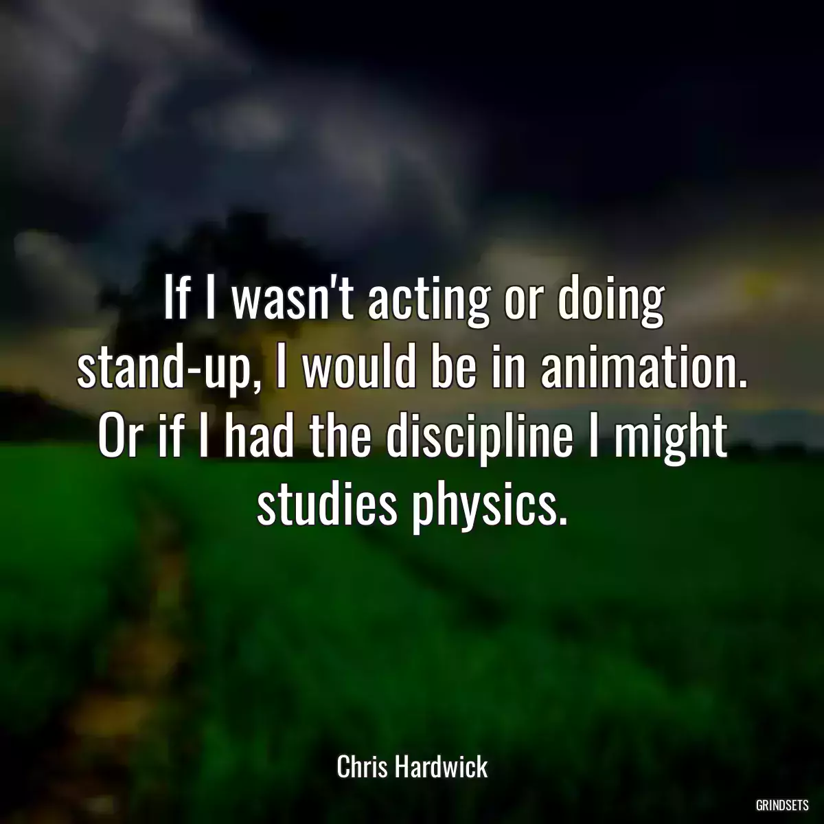 If I wasn\'t acting or doing stand-up, I would be in animation. Or if I had the discipline I might studies physics.