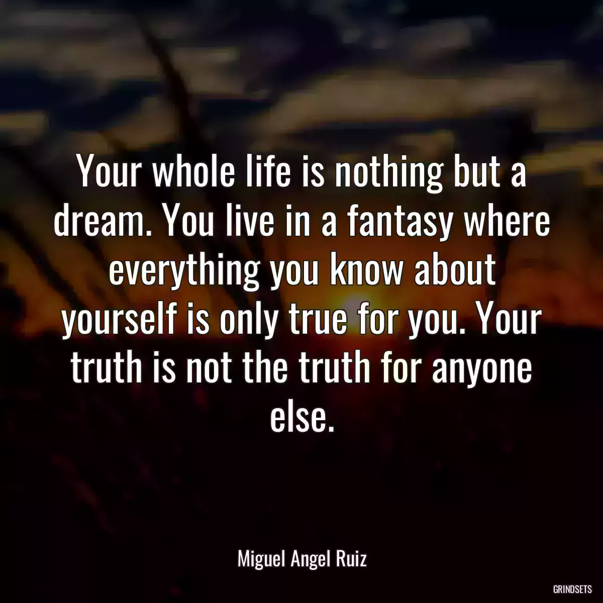 Your whole life is nothing but a dream. You live in a fantasy where everything you know about yourself is only true for you. Your truth is not the truth for anyone else.