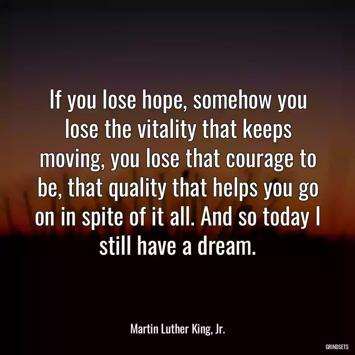 If you lose hope, somehow you lose the vitality that keeps moving, you lose that courage to be, that quality that helps you go on in spite of it all. And so today I still have a dream.