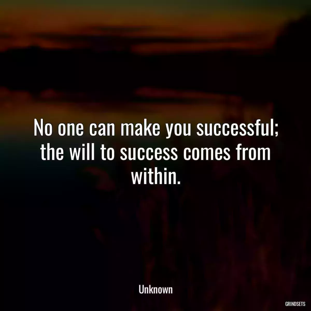 No one can make you successful; the will to success comes from within.