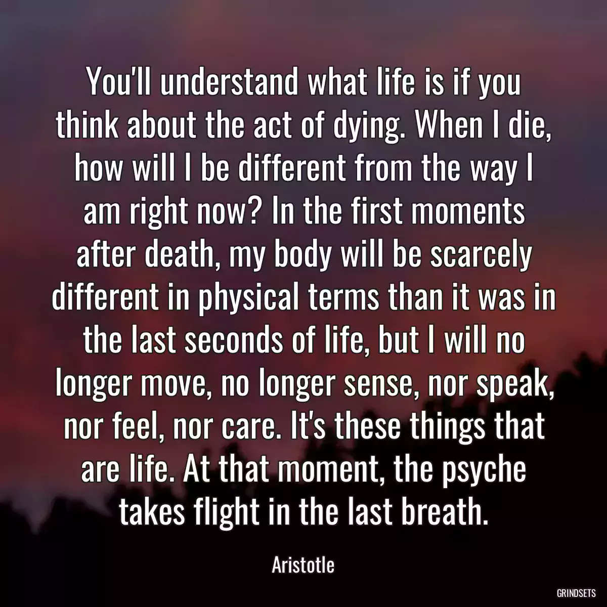 You\'ll understand what life is if you think about the act of dying. When I die, how will I be different from the way I am right now? In the first moments after death, my body will be scarcely different in physical terms than it was in the last seconds of life, but I will no longer move, no longer sense, nor speak, nor feel, nor care. It\'s these things that are life. At that moment, the psyche takes flight in the last breath.