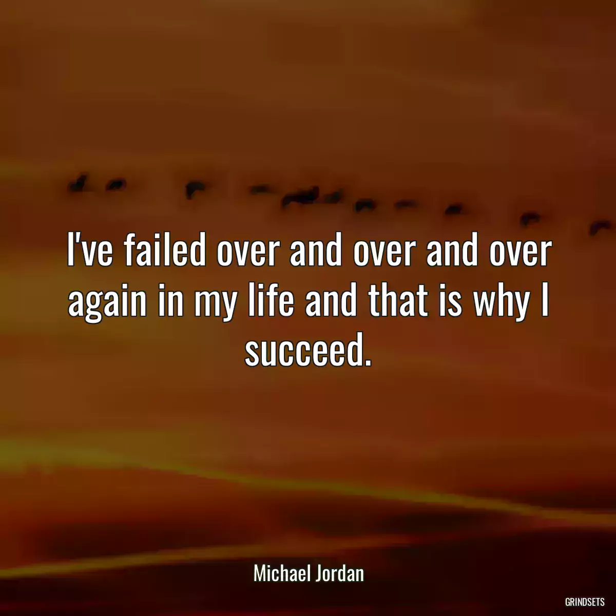 I\'ve failed over and over and over again in my life and that is why I succeed.