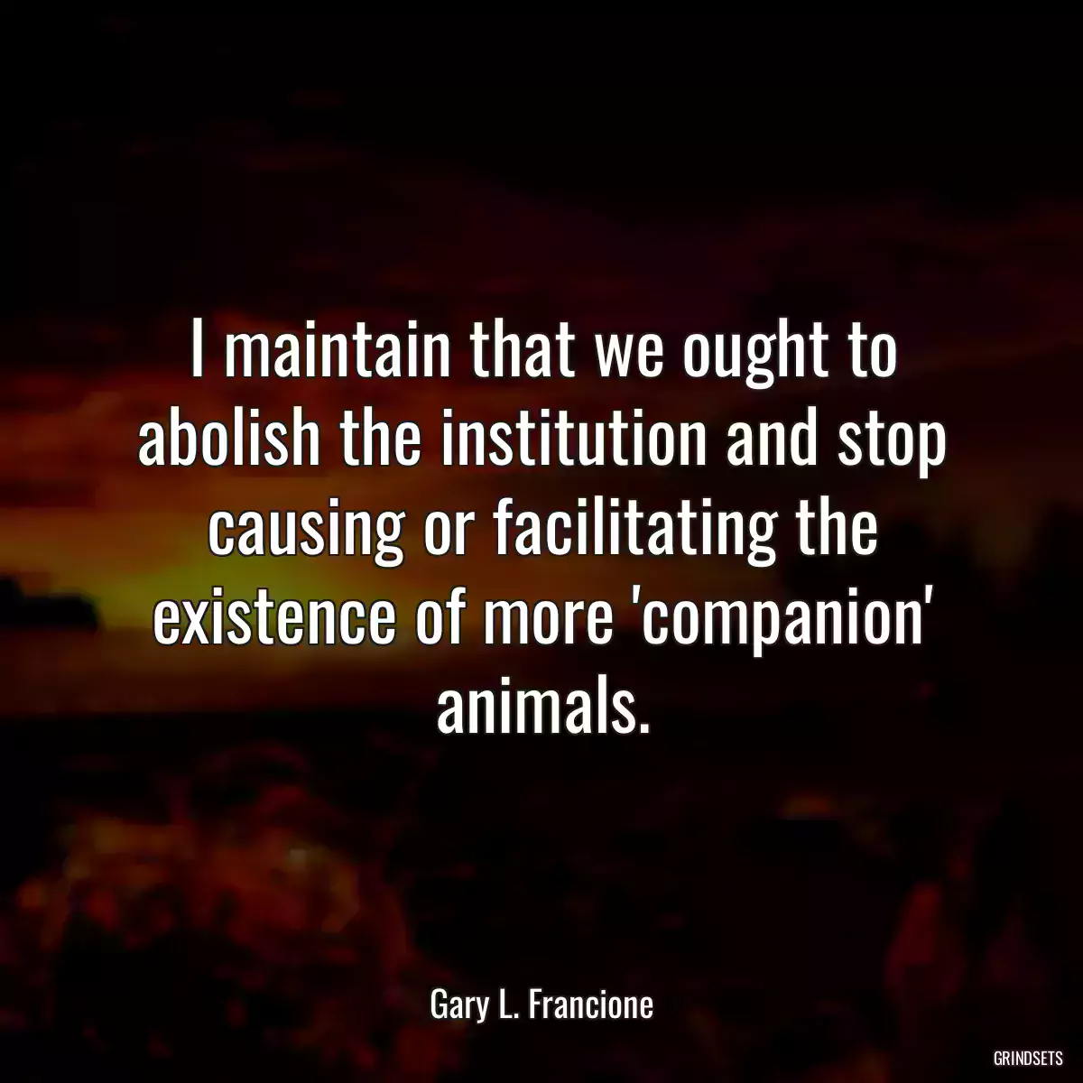 I maintain that we ought to abolish the institution and stop causing or facilitating the existence of more \'companion\' animals.