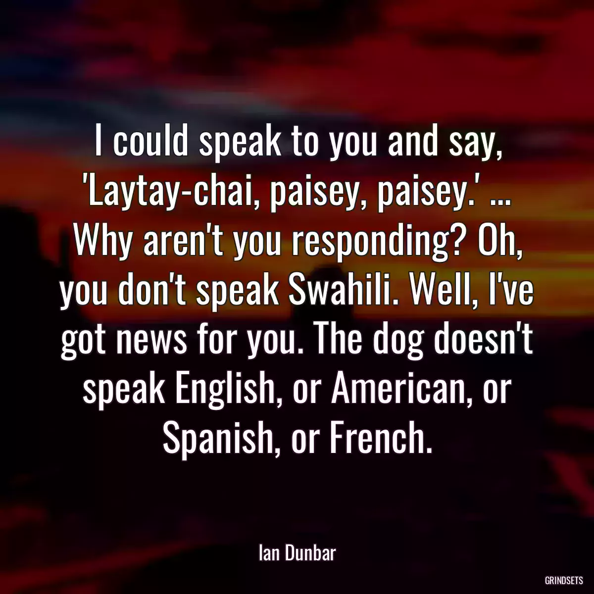 I could speak to you and say, \'Laytay-chai, paisey, paisey.\' ... Why aren\'t you responding? Oh, you don\'t speak Swahili. Well, I\'ve got news for you. The dog doesn\'t speak English, or American, or Spanish, or French.