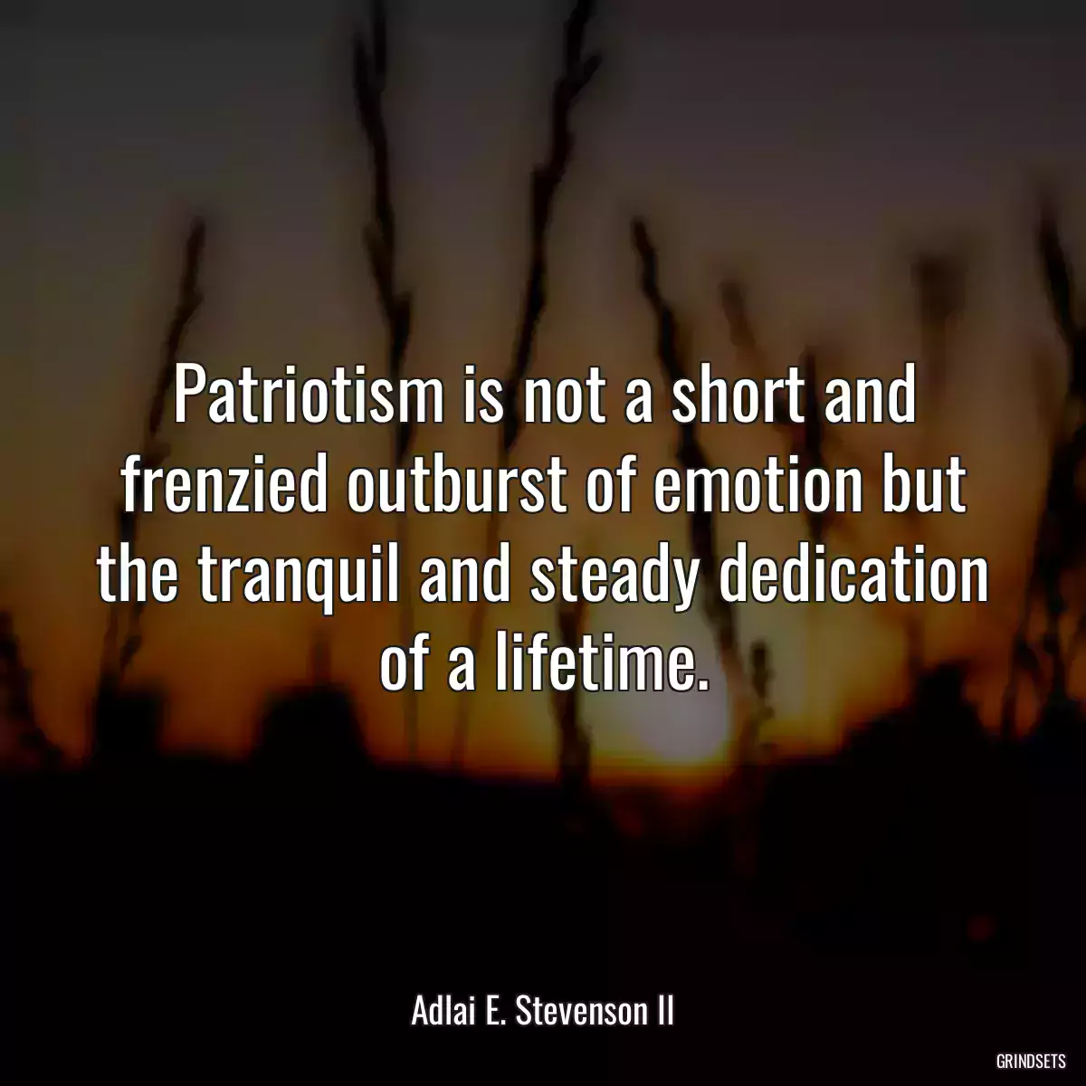 Patriotism is not a short and frenzied outburst of emotion but the tranquil and steady dedication of a lifetime.