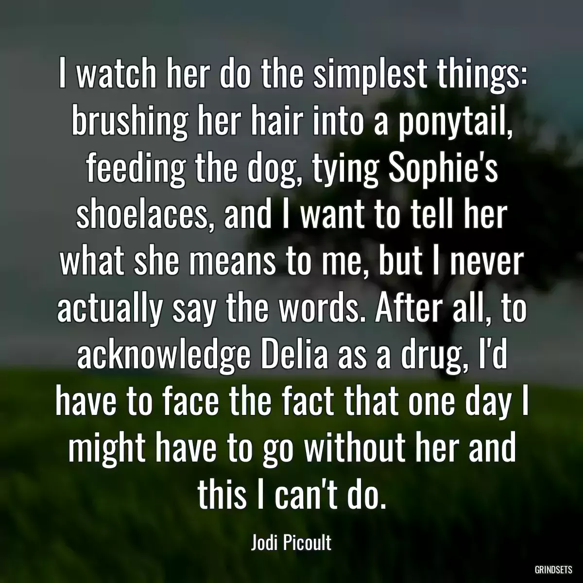 I watch her do the simplest things: brushing her hair into a ponytail, feeding the dog, tying Sophie\'s shoelaces, and I want to tell her what she means to me, but I never actually say the words. After all, to acknowledge Delia as a drug, I\'d have to face the fact that one day I might have to go without her and this I can\'t do.