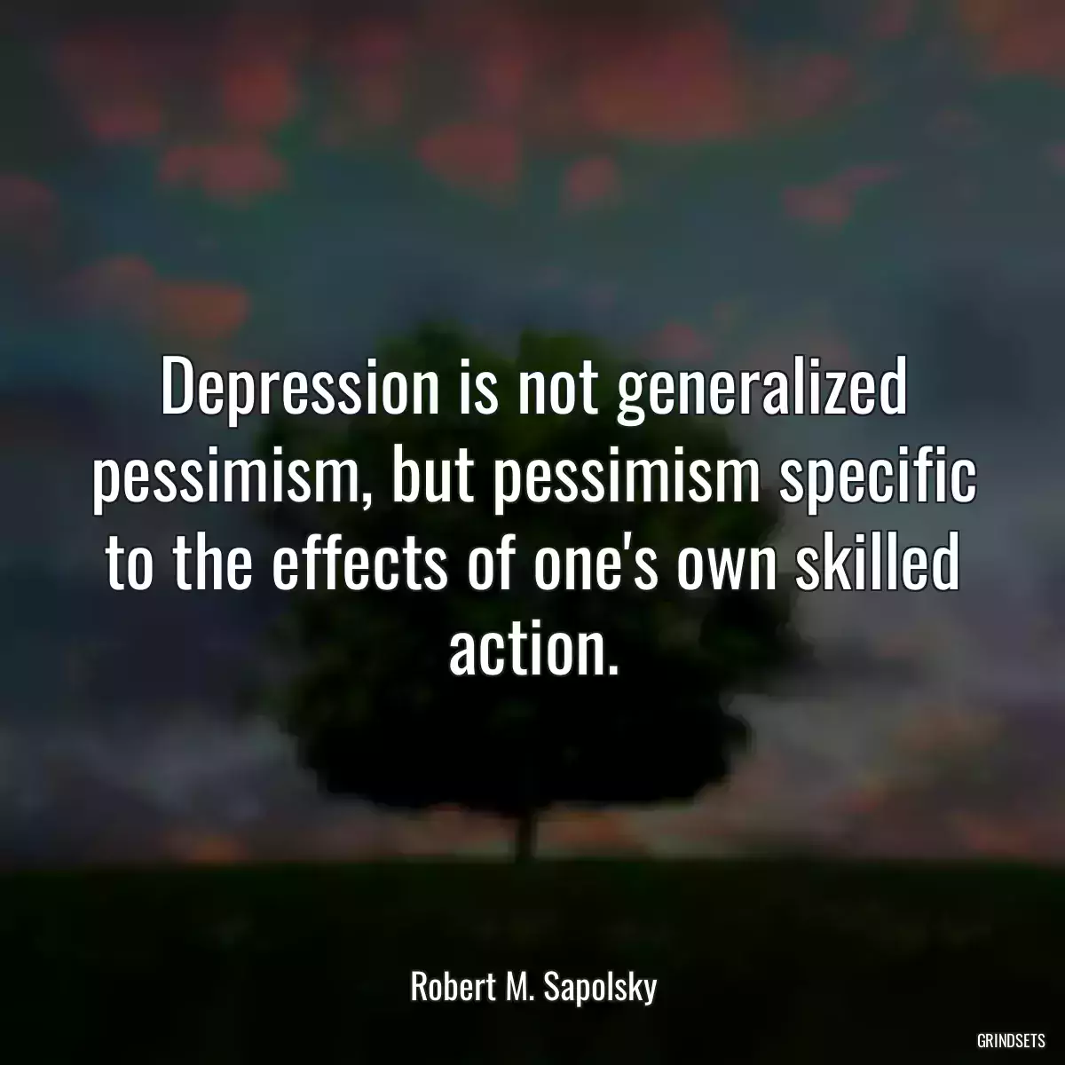 Depression is not generalized pessimism, but pessimism specific to the effects of one\'s own skilled action.