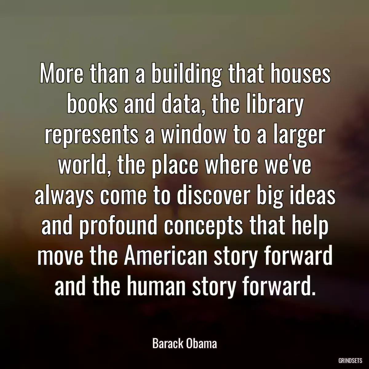 More than a building that houses books and data, the library represents a window to a larger world, the place where we\'ve always come to discover big ideas and profound concepts that help move the American story forward and the human story forward.