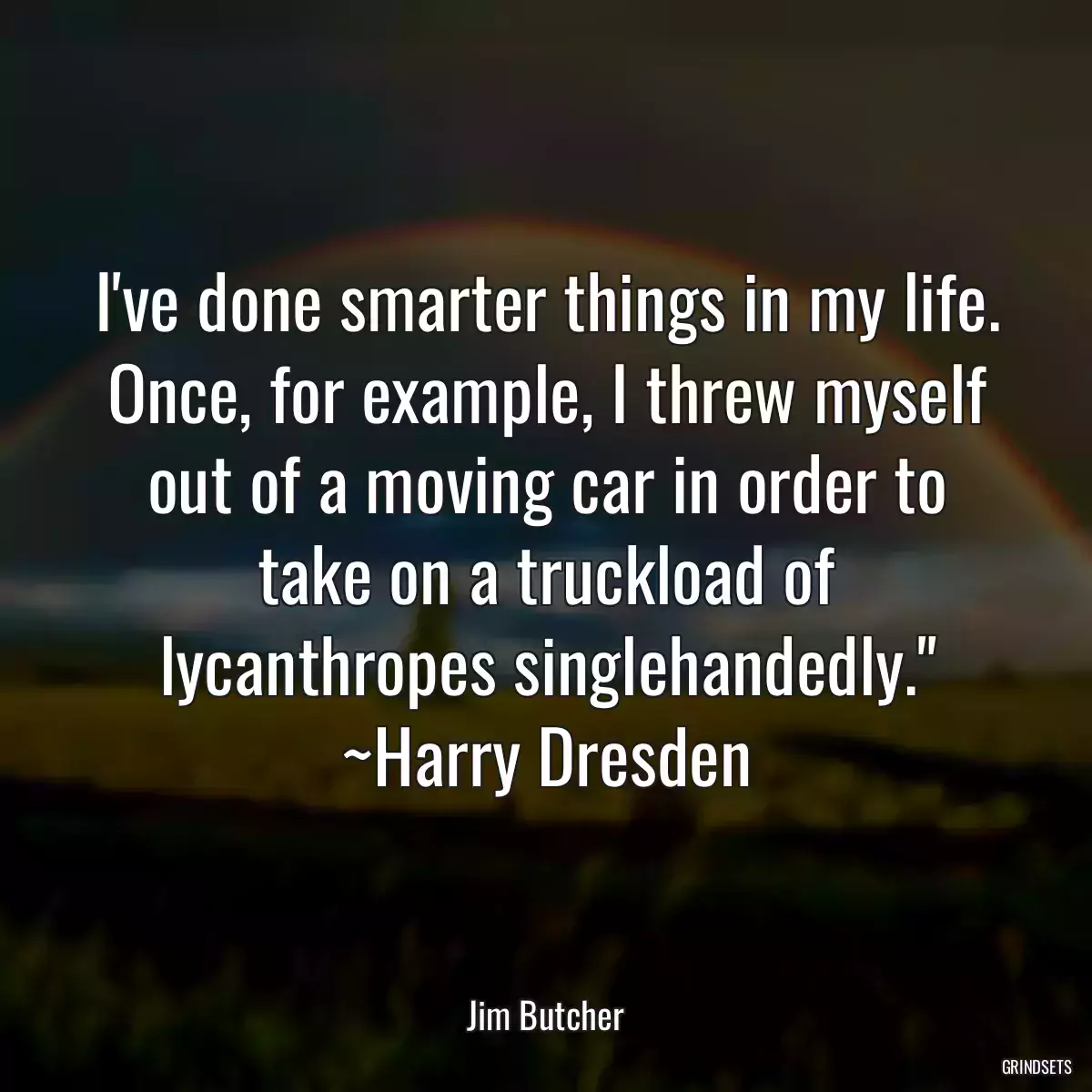 I\'ve done smarter things in my life. Once, for example, I threw myself out of a moving car in order to take on a truckload of lycanthropes singlehandedly.\