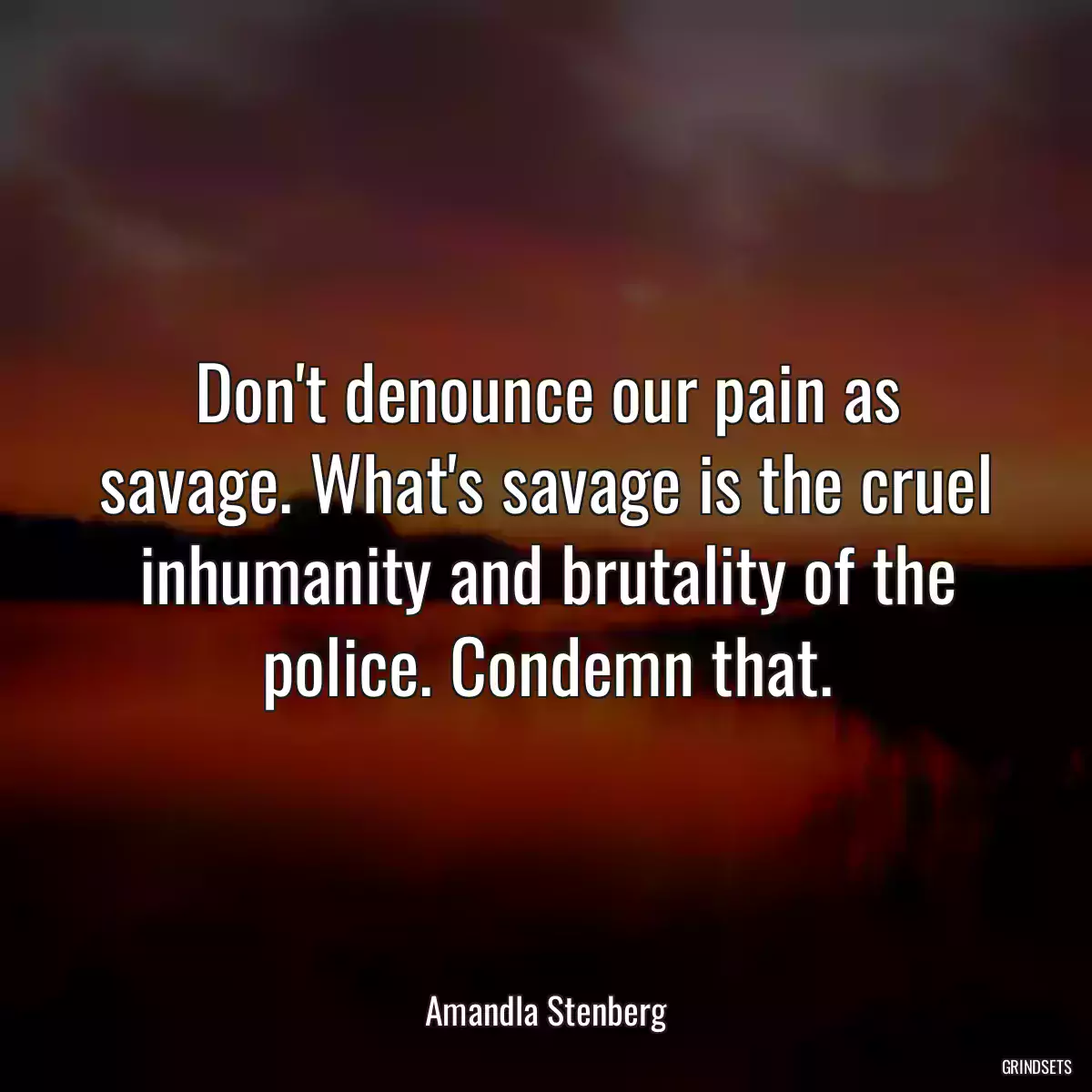 Don\'t denounce our pain as savage. What\'s savage is the cruel inhumanity and brutality of the police. Condemn that.