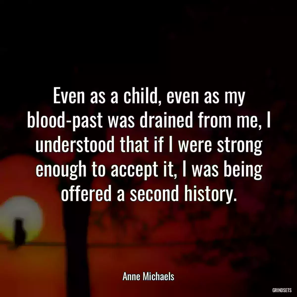 Even as a child, even as my blood-past was drained from me, I understood that if I were strong enough to accept it, I was being offered a second history.