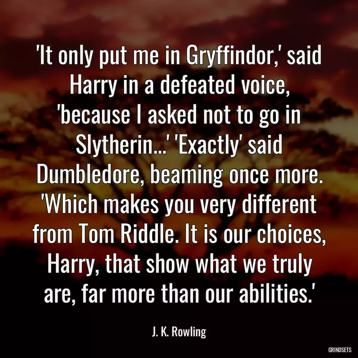 \'It only put me in Gryffindor,\' said Harry in a defeated voice, \'because I asked not to go in Slytherin...\' \'Exactly\' said Dumbledore, beaming once more. \'Which makes you very different from Tom Riddle. It is our choices, Harry, that show what we truly are, far more than our abilities.\'