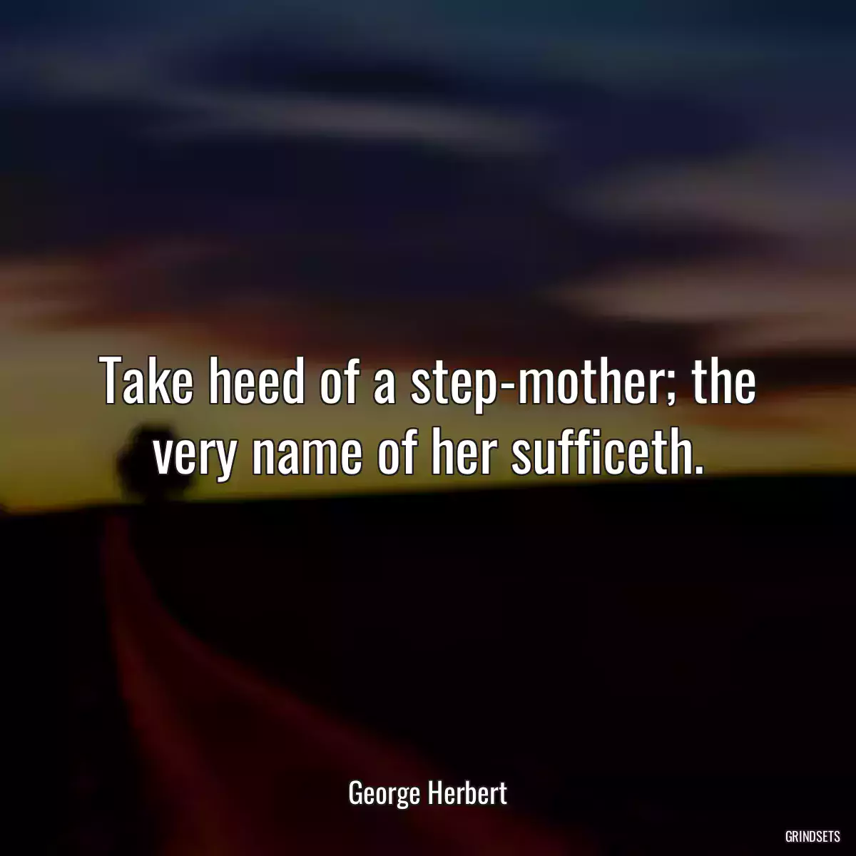 Take heed of a step-mother; the very name of her sufficeth.