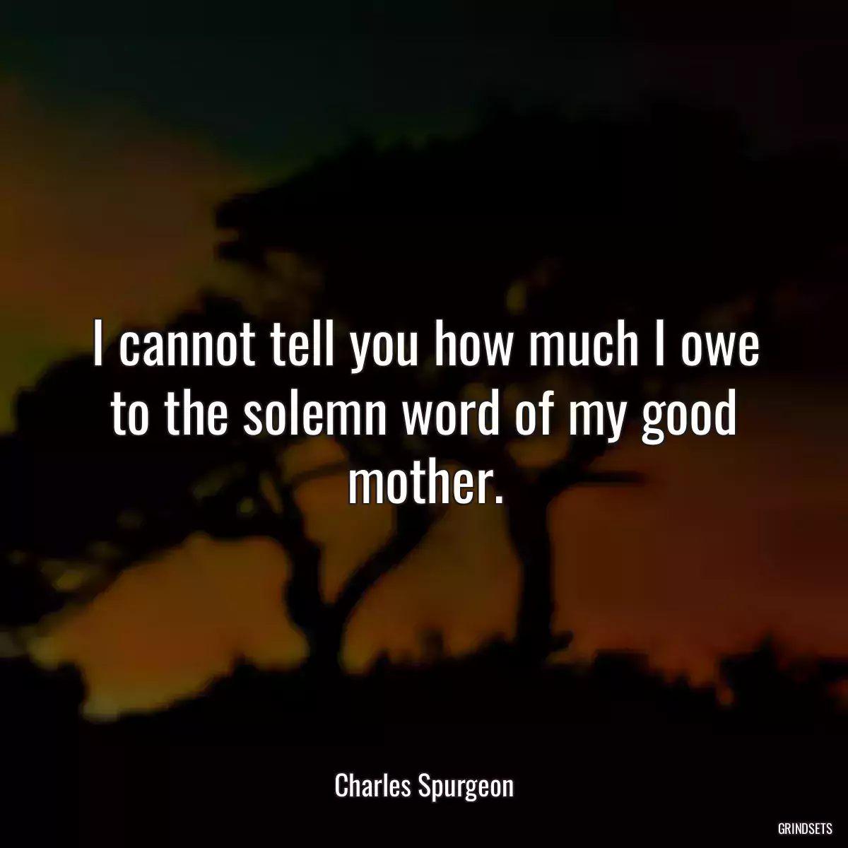 I cannot tell you how much I owe to the solemn word of my good mother.