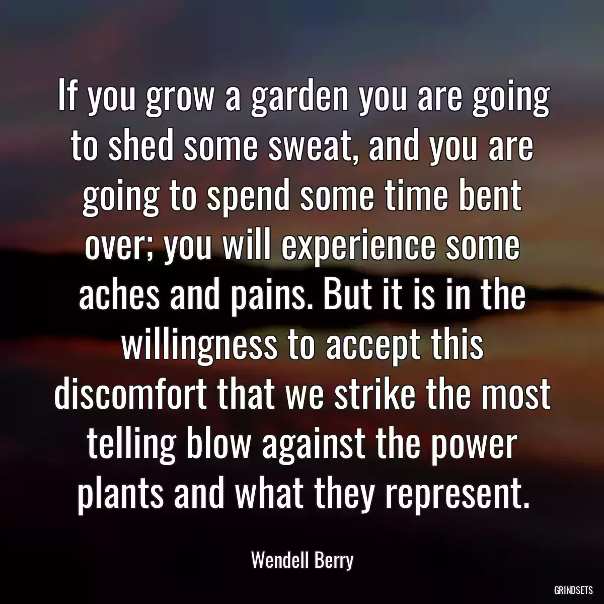 If you grow a garden you are going to shed some sweat, and you are going to spend some time bent over; you will experience some aches and pains. But it is in the willingness to accept this discomfort that we strike the most telling blow against the power plants and what they represent.