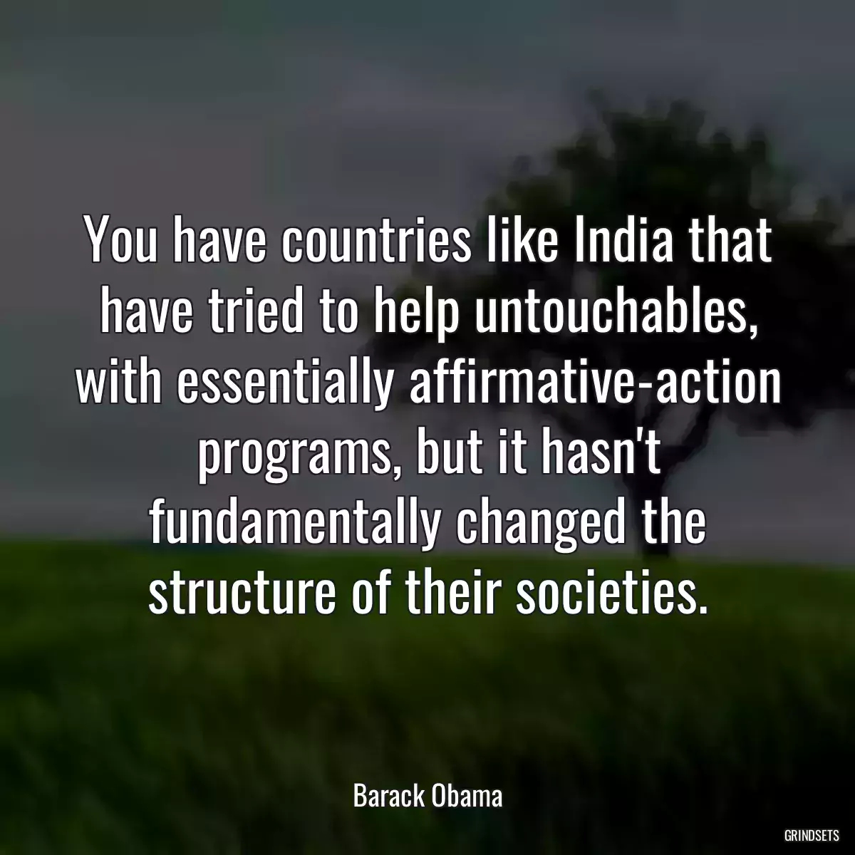 You have countries like India that have tried to help untouchables, with essentially affirmative-action programs, but it hasn\'t fundamentally changed the structure of their societies.