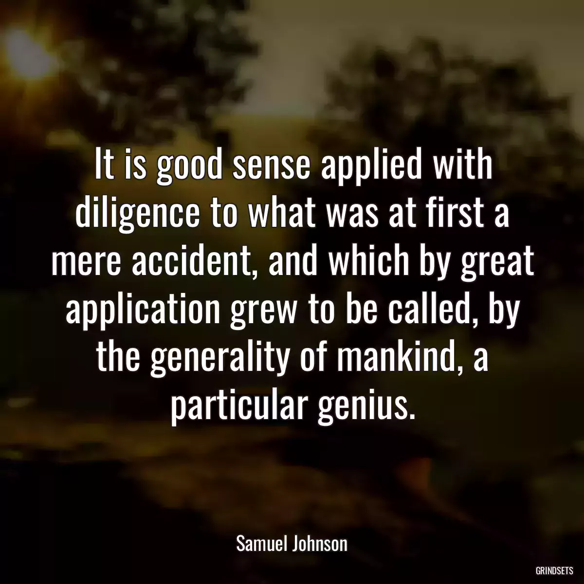 It is good sense applied with diligence to what was at first a mere accident, and which by great application grew to be called, by the generality of mankind, a particular genius.