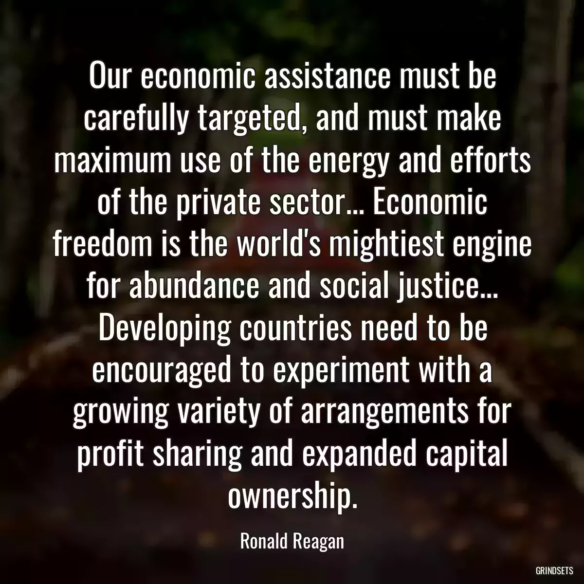 Our economic assistance must be carefully targeted, and must make maximum use of the energy and efforts of the private sector... Economic freedom is the world\'s mightiest engine for abundance and social justice... Developing countries need to be encouraged to experiment with a growing variety of arrangements for profit sharing and expanded capital ownership.