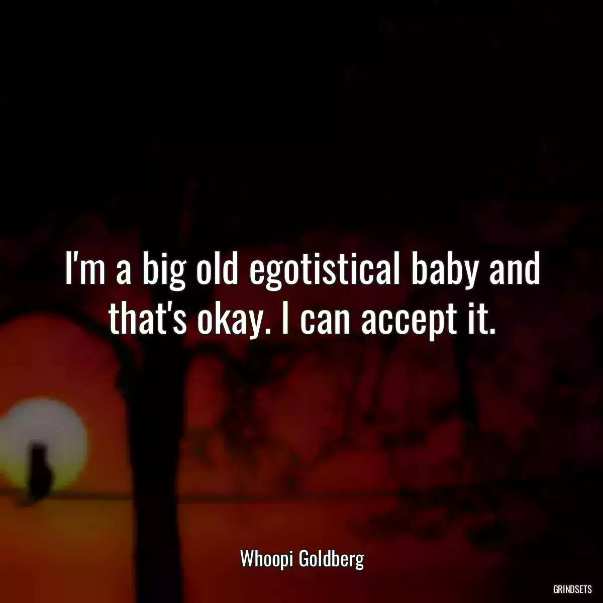 I\'m a big old egotistical baby and that\'s okay. I can accept it.