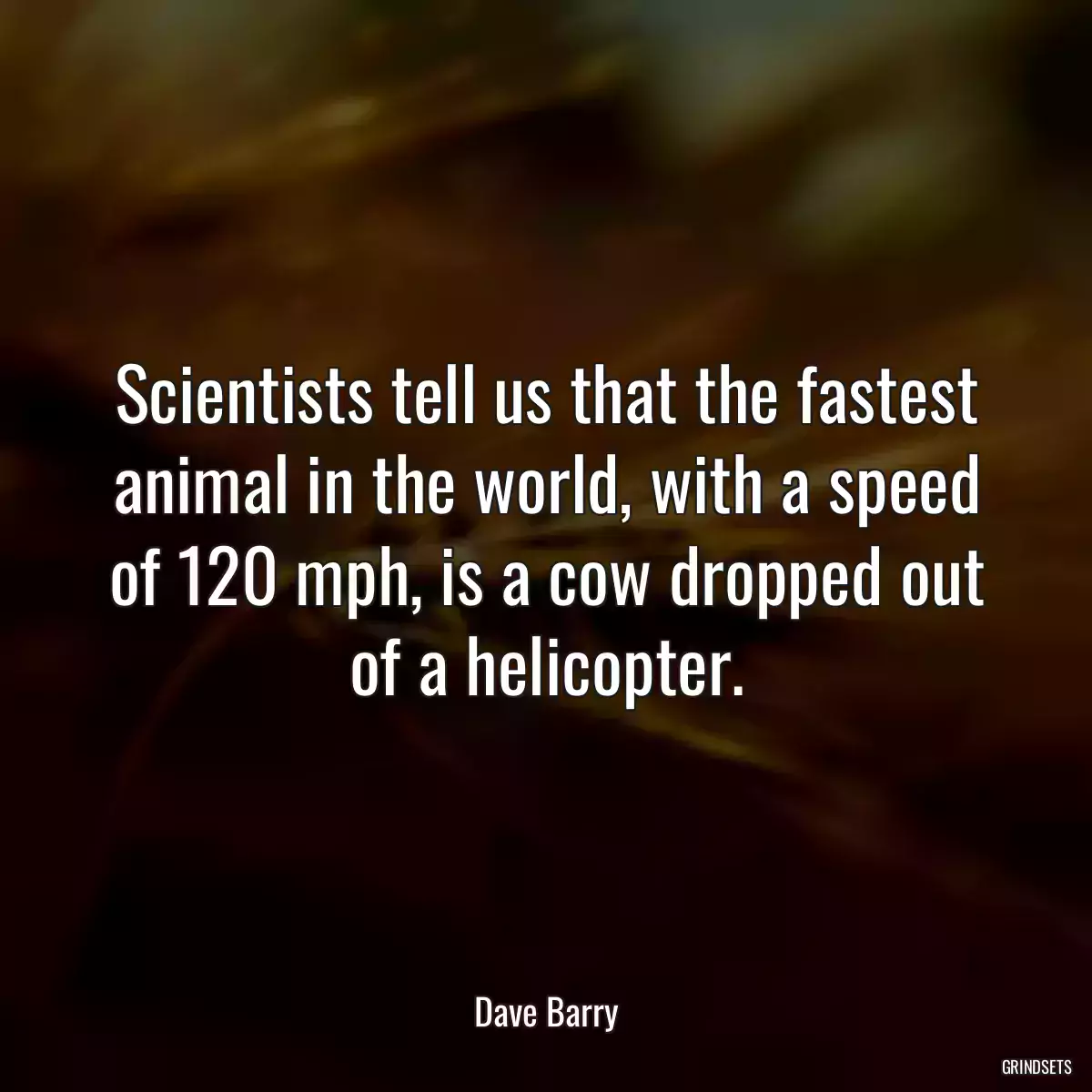 Scientists tell us that the fastest animal in the world, with a speed of 120 mph, is a cow dropped out of a helicopter.