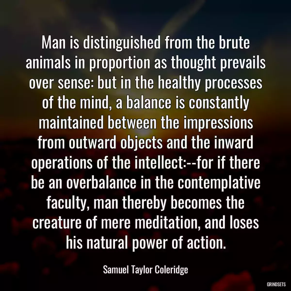 Man is distinguished from the brute animals in proportion as thought prevails over sense: but in the healthy processes of the mind, a balance is constantly maintained between the impressions from outward objects and the inward operations of the intellect:--for if there be an overbalance in the contemplative faculty, man thereby becomes the creature of mere meditation, and loses his natural power of action.