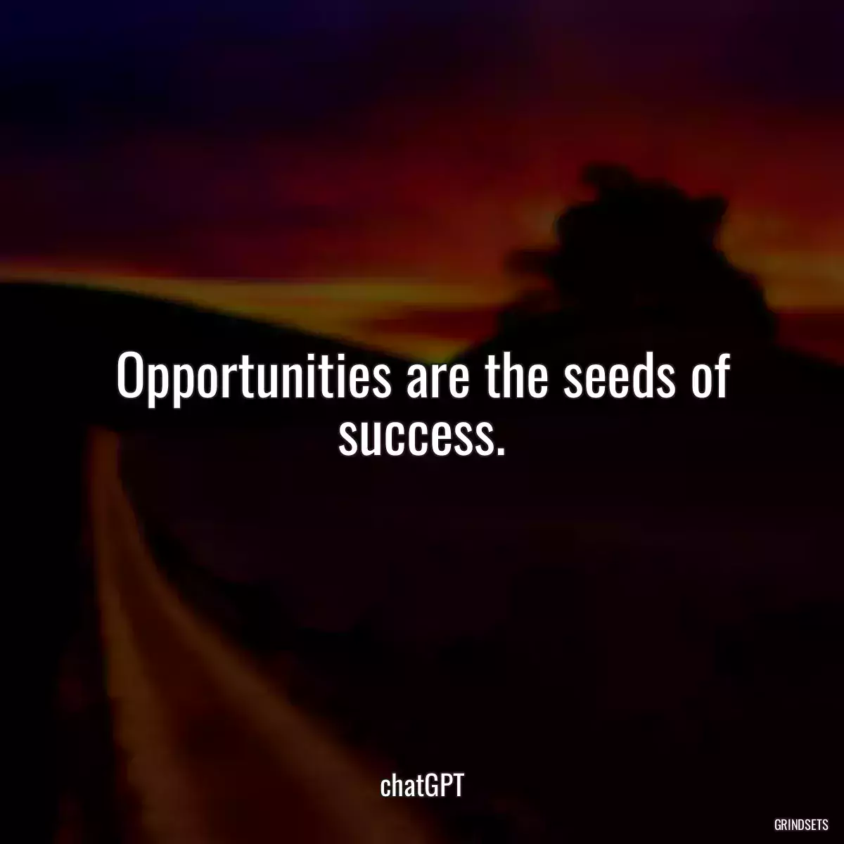Opportunities are the seeds of success.